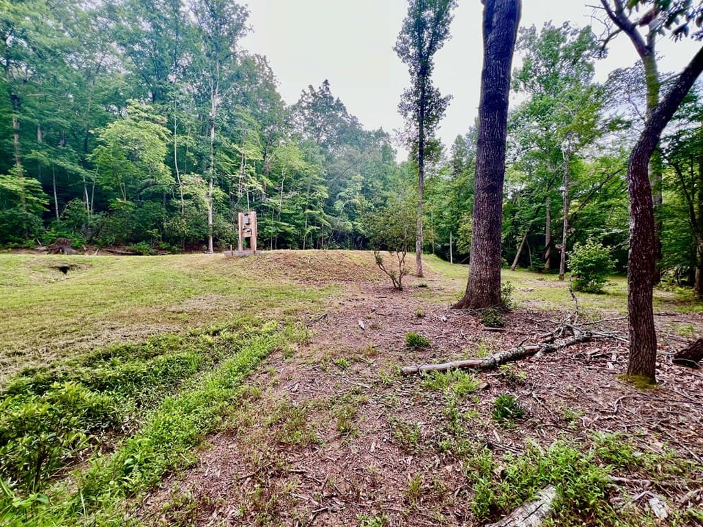 193 Opossum Road, Blairsville GA 30512 - Photo