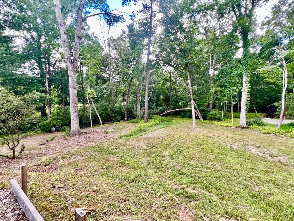 193 Opossum Road, Blairsville GA 30512 - Photo
