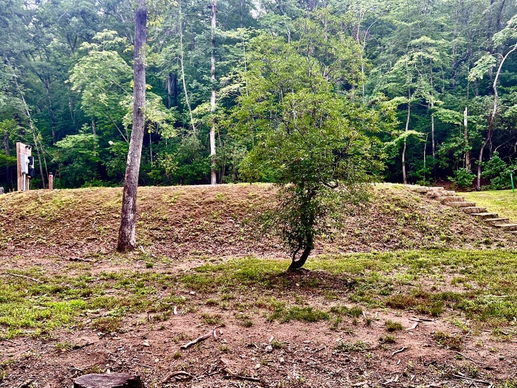 193 Opossum Road, Blairsville GA 30512 - Photo