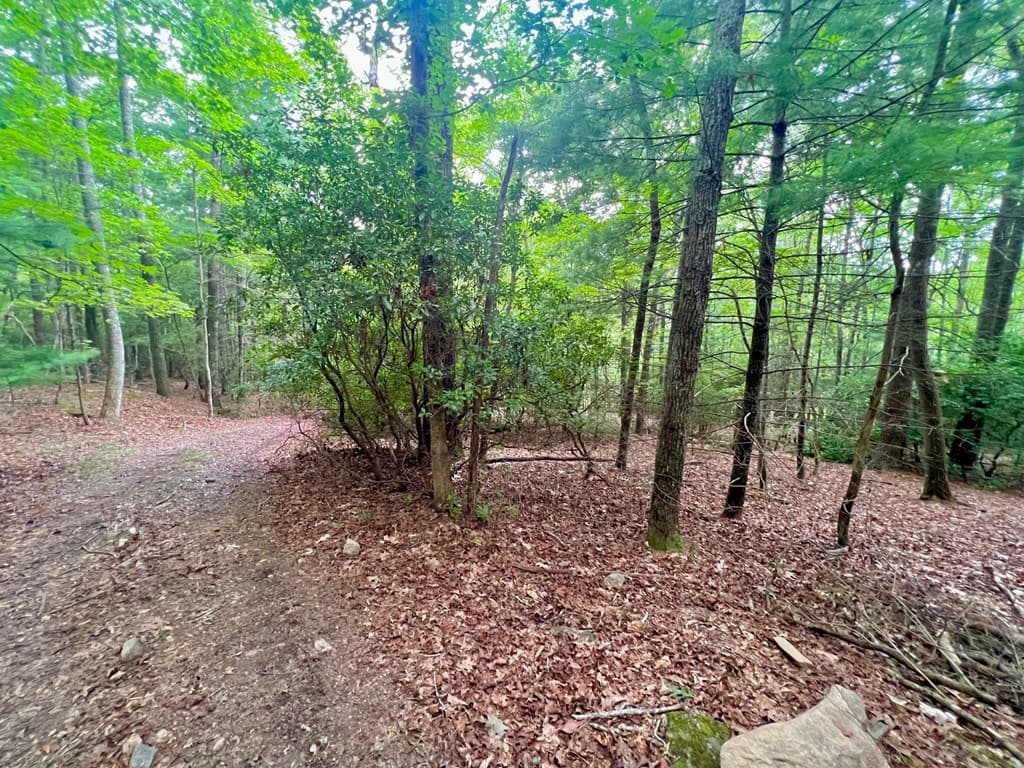 193 Opossum Road, Blairsville GA 30512 - Photo