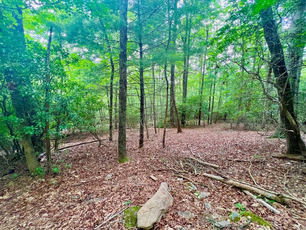 193 Opossum Road, Blairsville GA 30512 - Photo