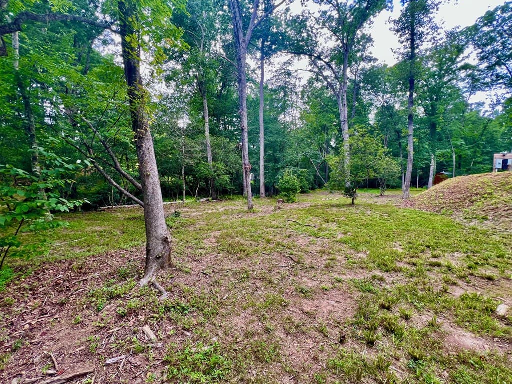 193 Opossum Road, Blairsville GA 30512 - Photo