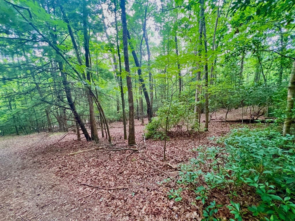193 Opossum Road, Blairsville GA 30512 - Photo