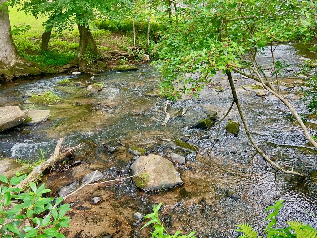 193 Opossum Road, Blairsville GA 30512 - Photo