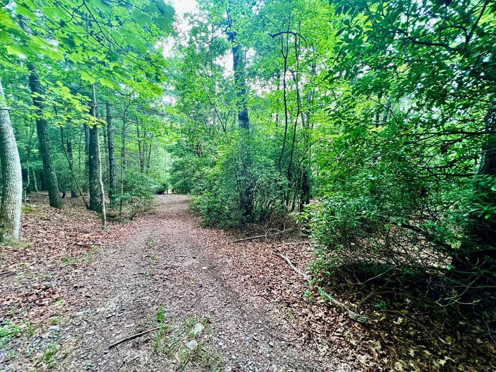 193 Opossum Road, Blairsville GA 30512 - Photo