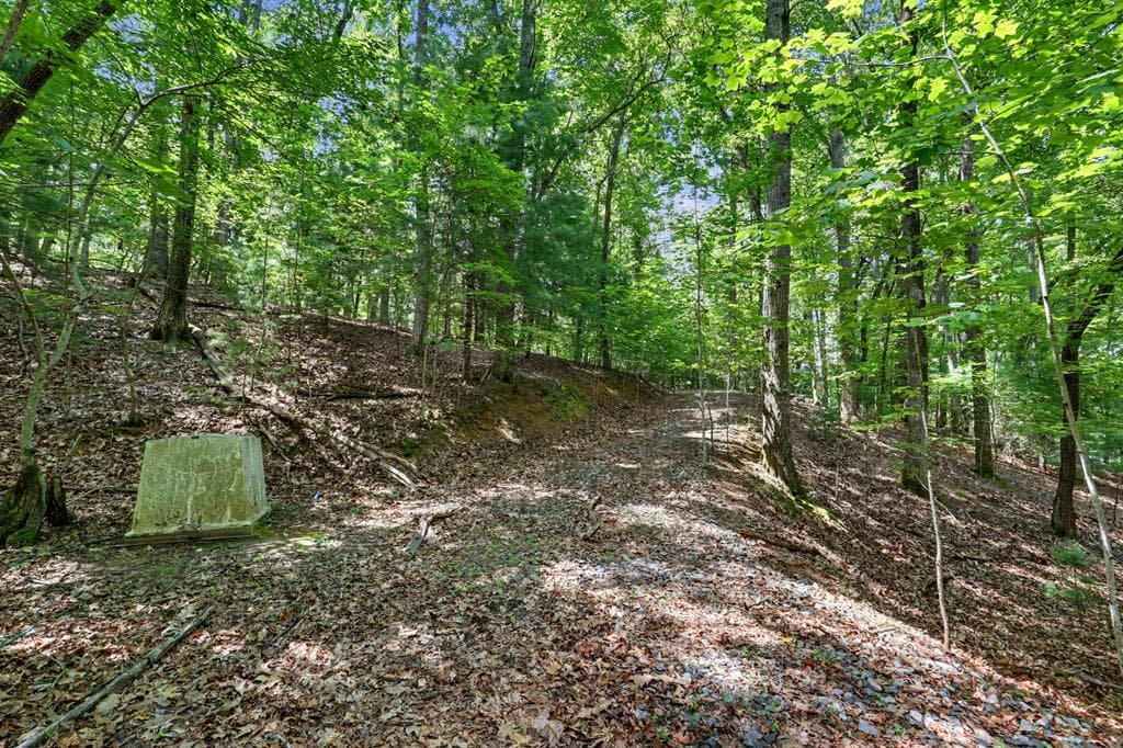 Tract 3 Wilmar Circle, Blairsville GA 30512 - Photo