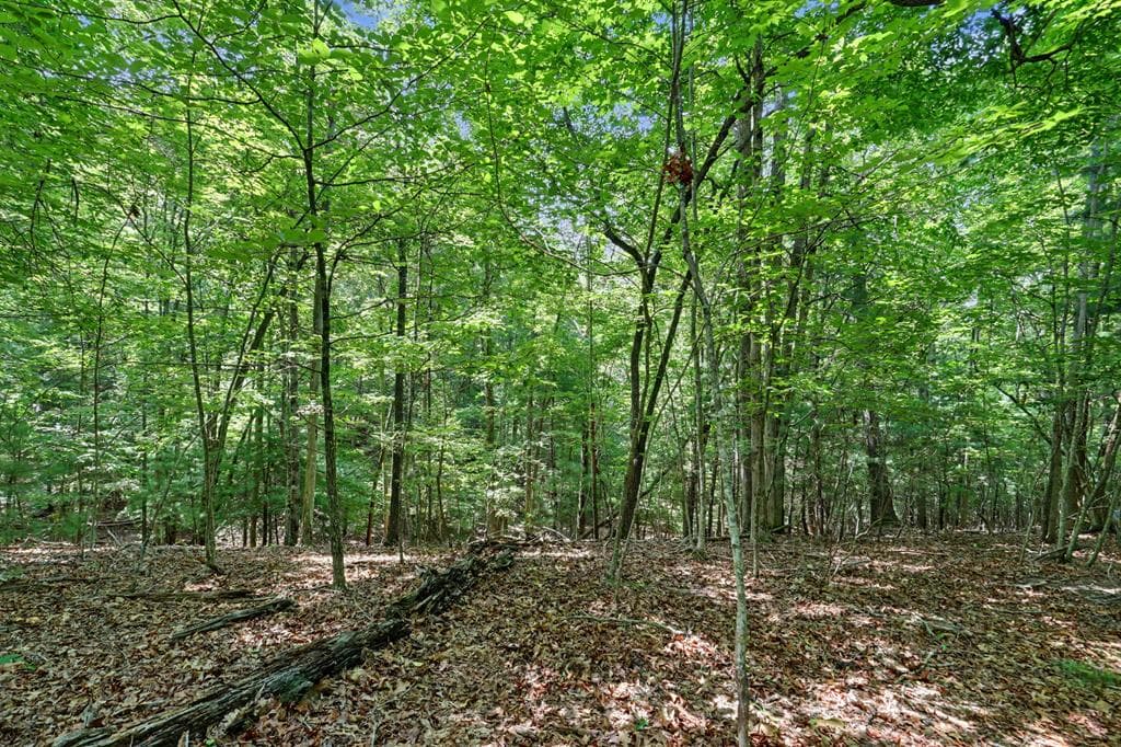 Tract 3 Wilmar Circle, Blairsville GA 30512 - Photo
