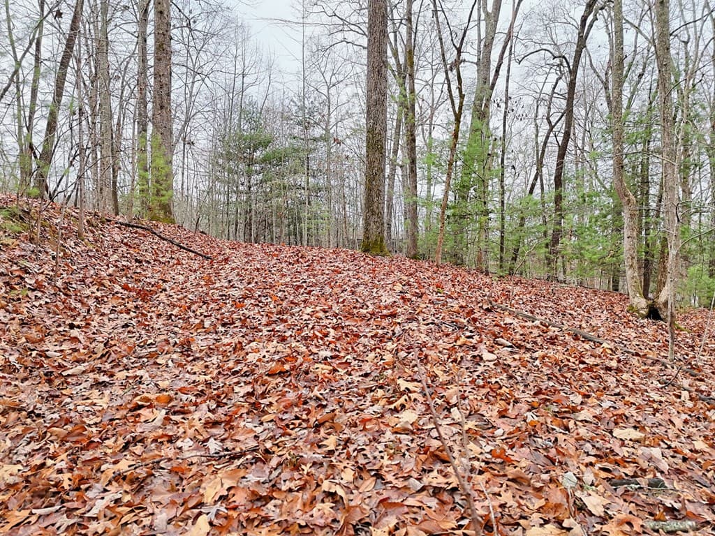 Tract 3 Wilmar Circle, Blairsville GA 30512 - Photo