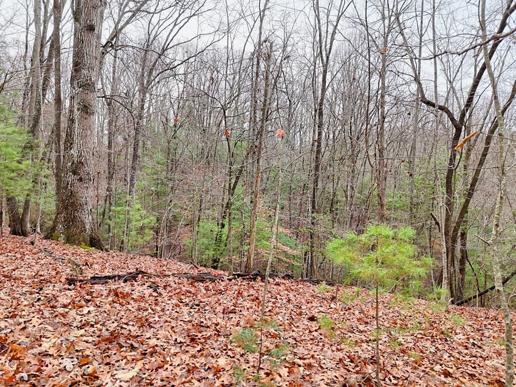 Tract 3 Wilmar Circle, Blairsville GA 30512 - Photo
