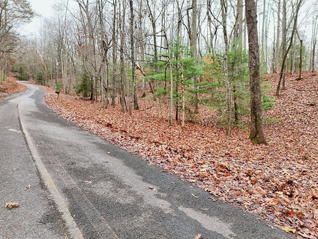 Tract 3 Wilmar Circle, Blairsville GA 30512 - Photo