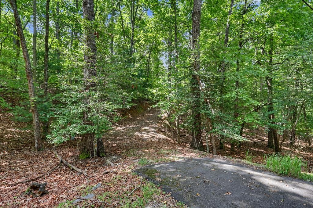 Tract 3 Wilmar Circle, Blairsville GA 30512 - Photo