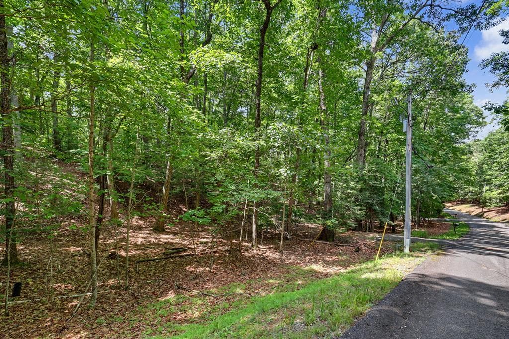 Tract 3 Wilmar Circle, Blairsville GA 30512 - Primary photo