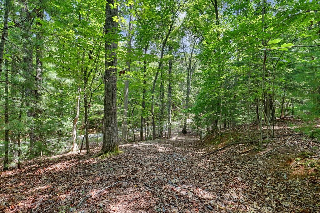 Tract 3 Wilmar Circle, Blairsville GA 30512 - Photo