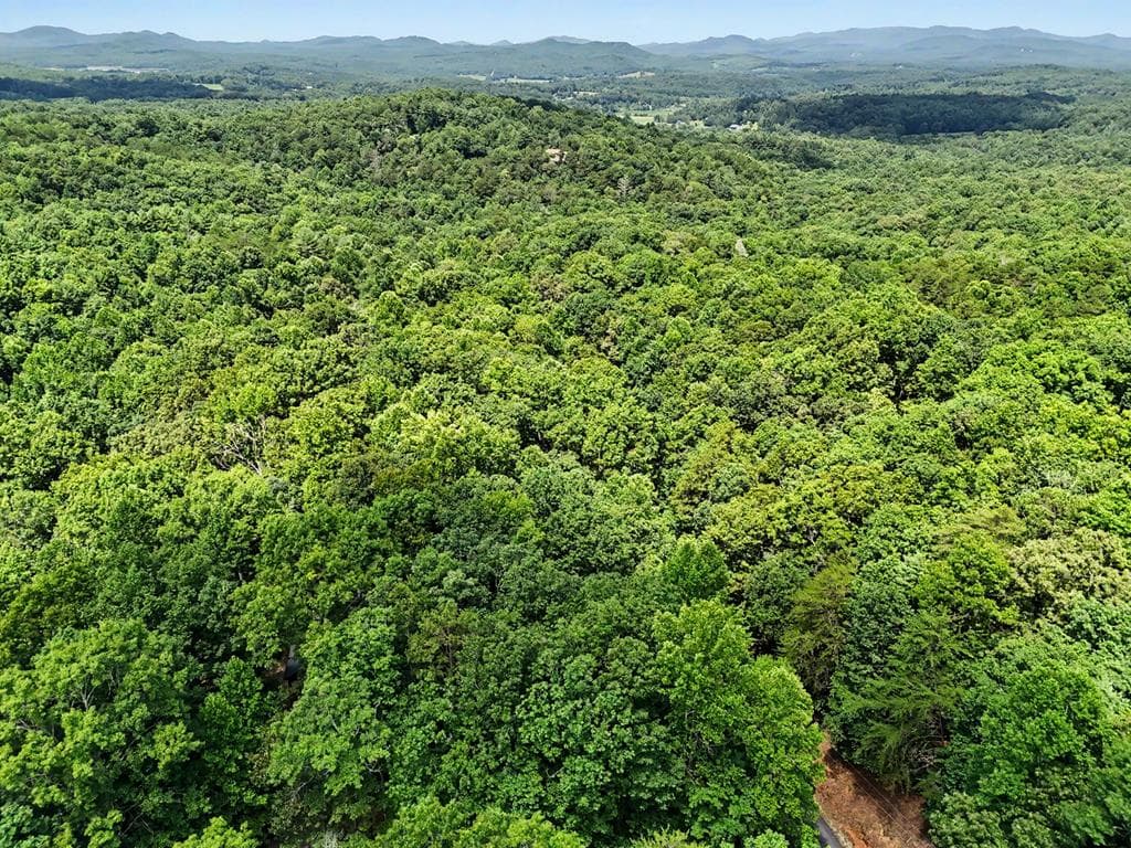 Tract 3 Wilmar Circle, Blairsville GA 30512 - Photo