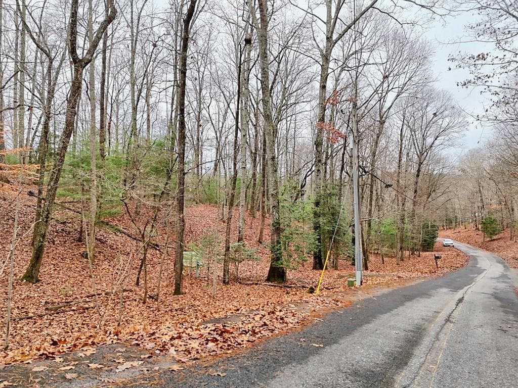Tract 3 Wilmar Circle, Blairsville GA 30512 - Photo