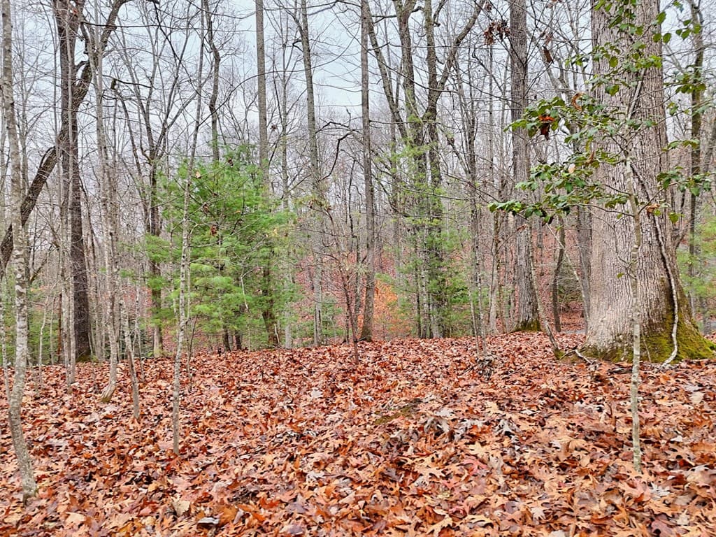 Tract 3 Wilmar Circle, Blairsville GA 30512 - Photo
