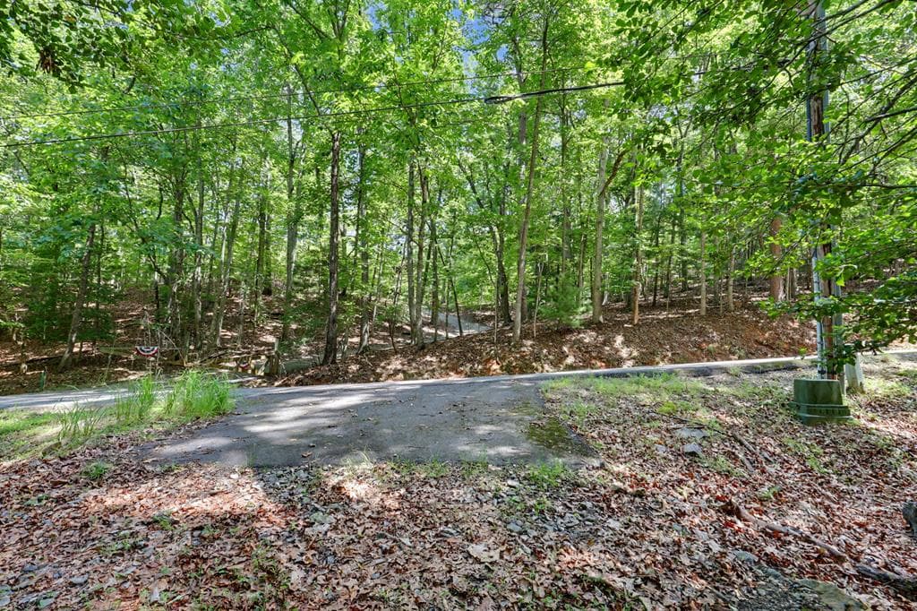 Tract 3 Wilmar Circle, Blairsville GA 30512 - Photo