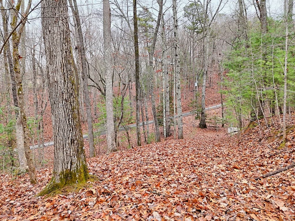 Tract 3 Wilmar Circle, Blairsville GA 30512 - Photo