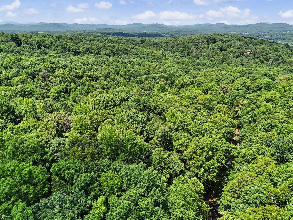 Tract 3 Wilmar Circle, Blairsville GA 30512 - Photo
