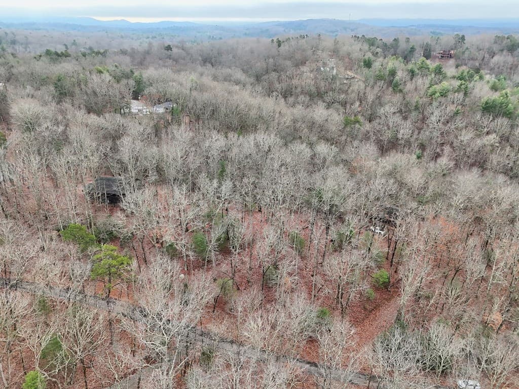 Tract 3 Wilmar Circle, Blairsville GA 30512 - Photo