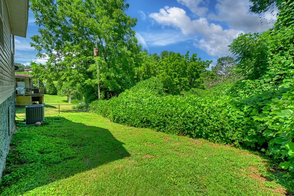183 Main Street, Ducktown TN 37326 - Photo