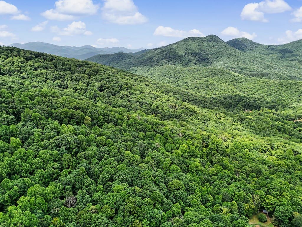 1583 Spring Cove Road, Blairsville GA 30512 - Photo