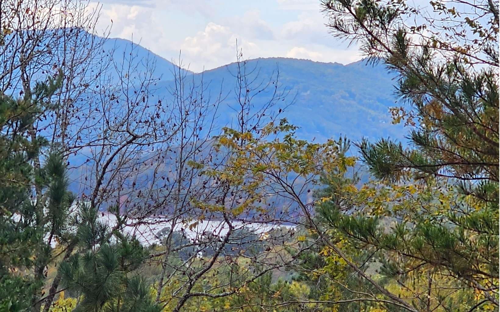 9A Chatuge Woods, Hayesville NC 28904 - Photo