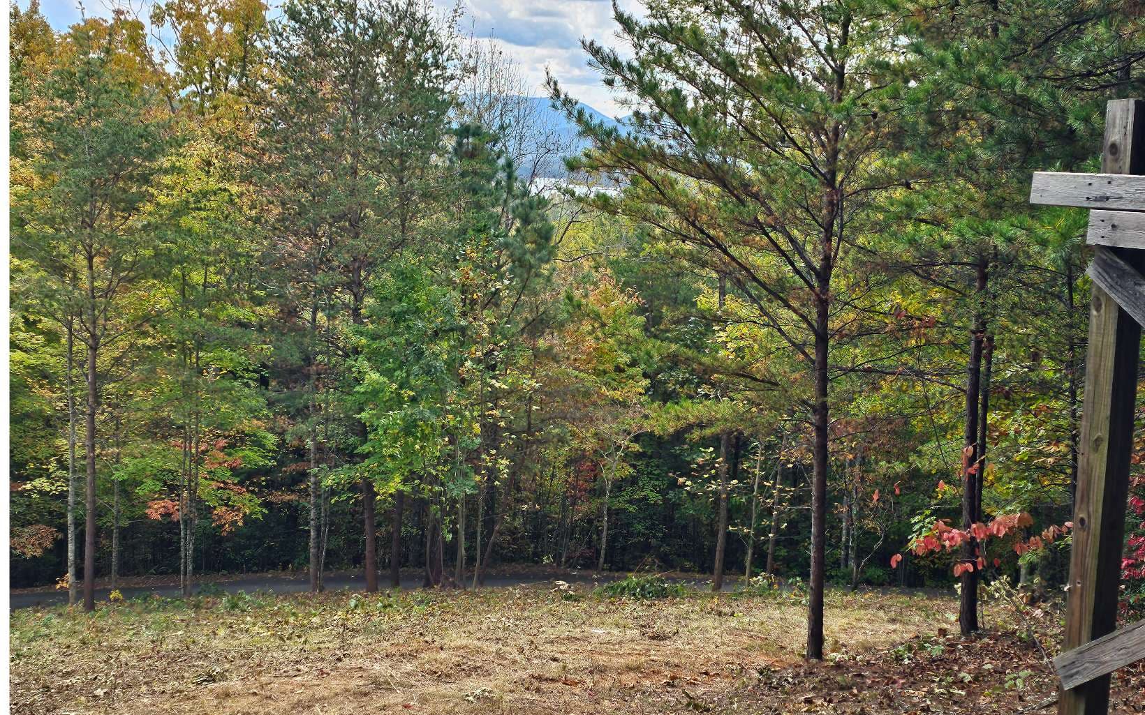 9A Chatuge Woods, Hayesville NC 28904 - Photo