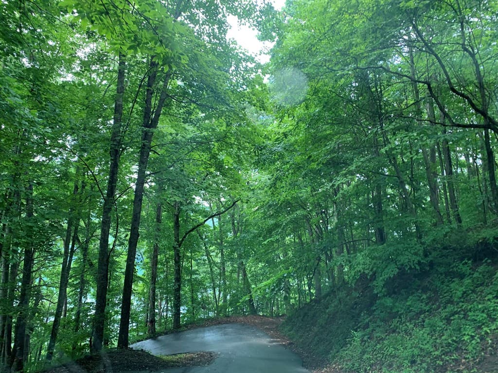 Lot #27 Laurel Lane, Nantahala NC 28781 - Photo