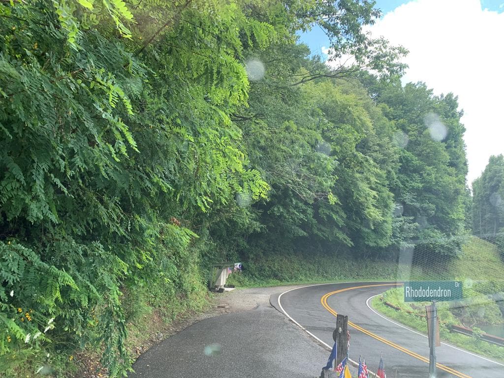 Lot #27 Laurel Lane, Nantahala NC 28781 - Primary photo