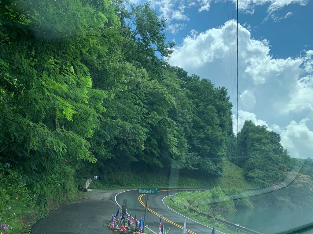 Lot #27 Laurel Lane, Nantahala NC 28781 - Photo