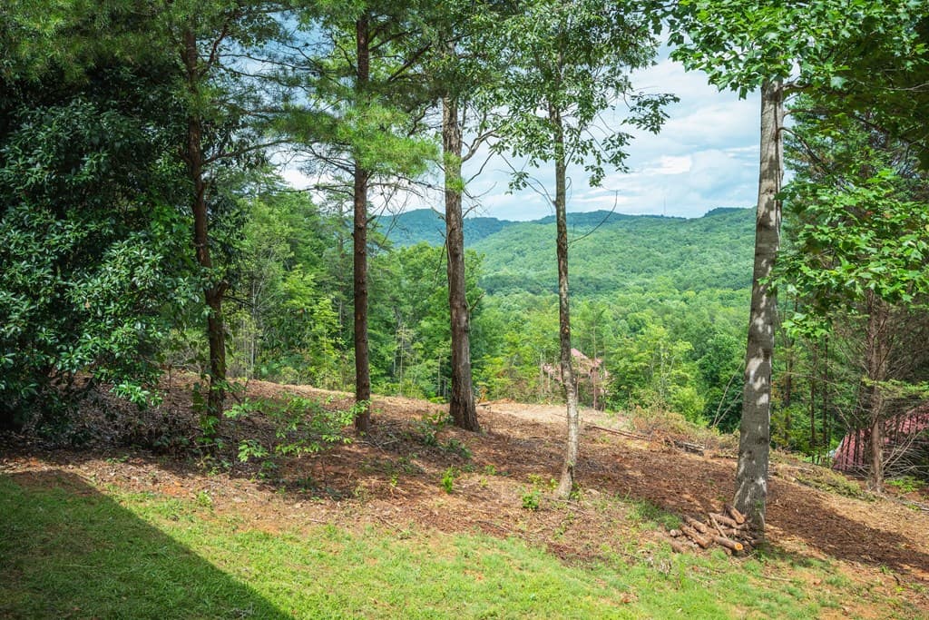 235 Field Drive, Sautee Nacoochee GA 30571 - Photo