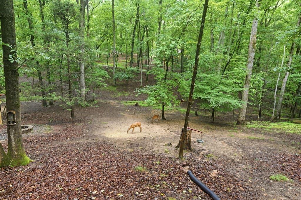208 Saddle Ridge Drive, Blairsville GA 30512 - Photo
