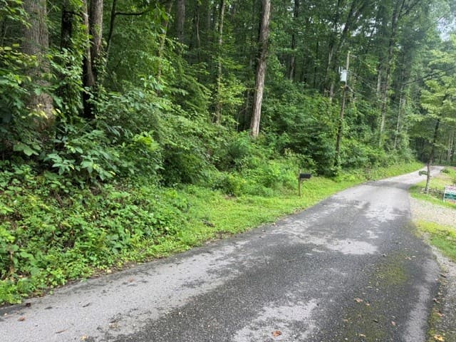 349 Happy Hollow Circle, Suches GA 30572 - Photo