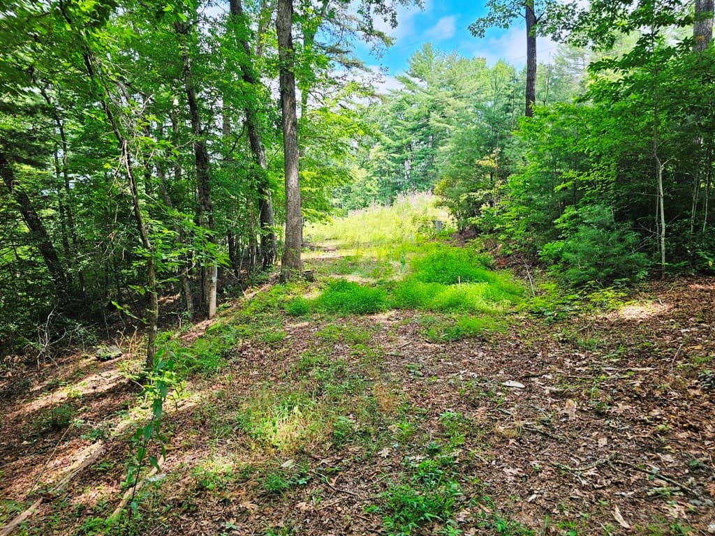 252 Barefoot Lane, Murphy NC 28906 - Photo
