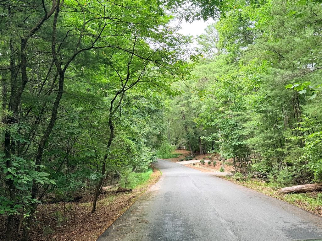 514 Browns Cove Road, Blue Ridge GA 30513 - Photo