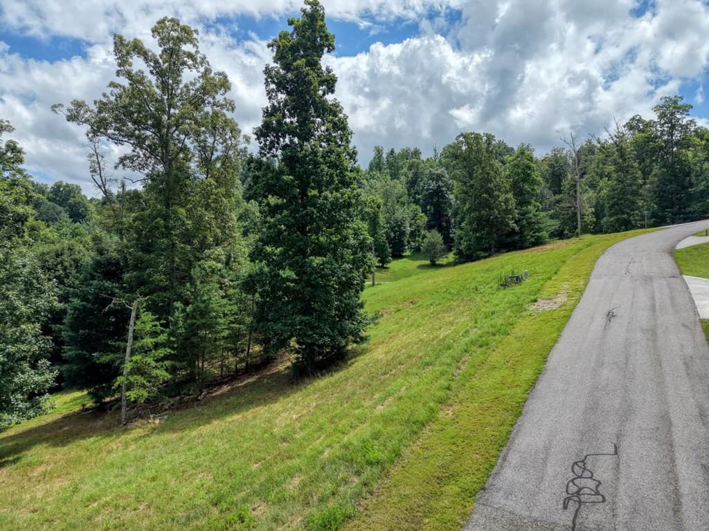 Lot 118 Riverside Lk Nottely, Blairsville GA 30512 - Photo