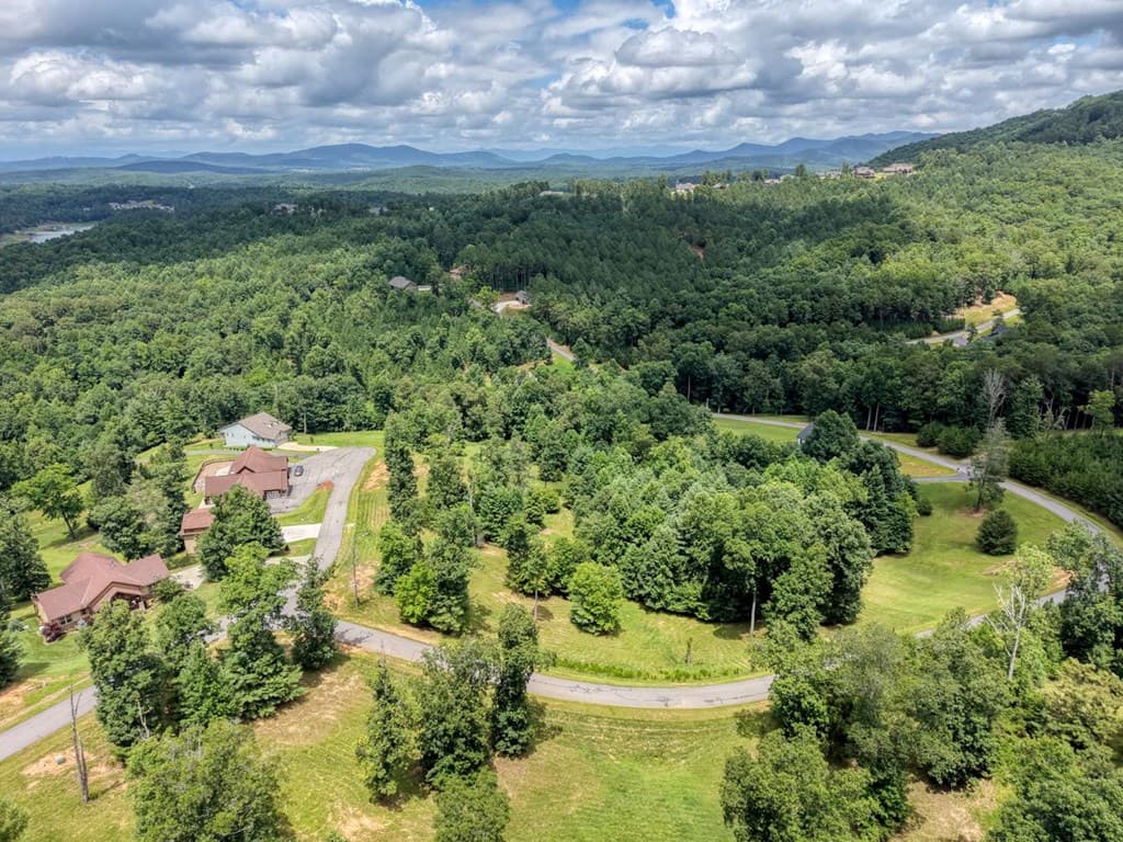 Lot 118 Riverside Lk Nottely, Blairsville GA 30512 - Photo