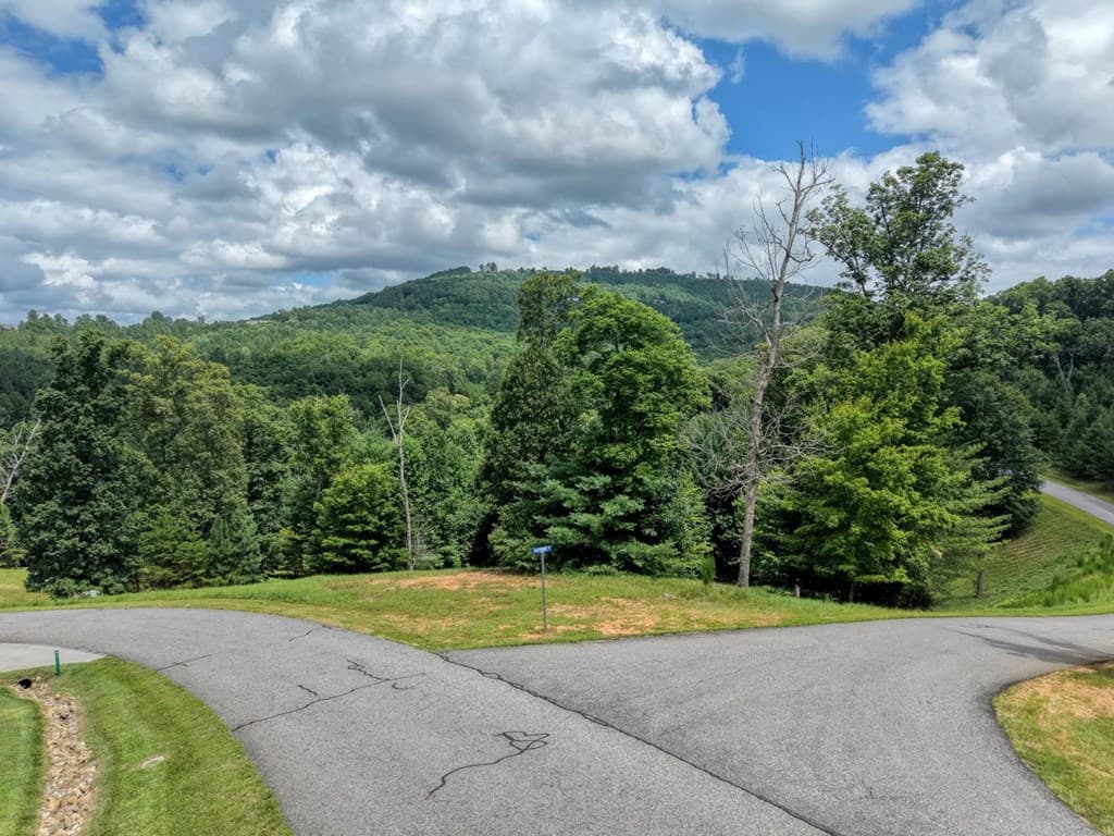 Lot 118 Riverside Lk Nottely, Blairsville GA 30512 - Photo