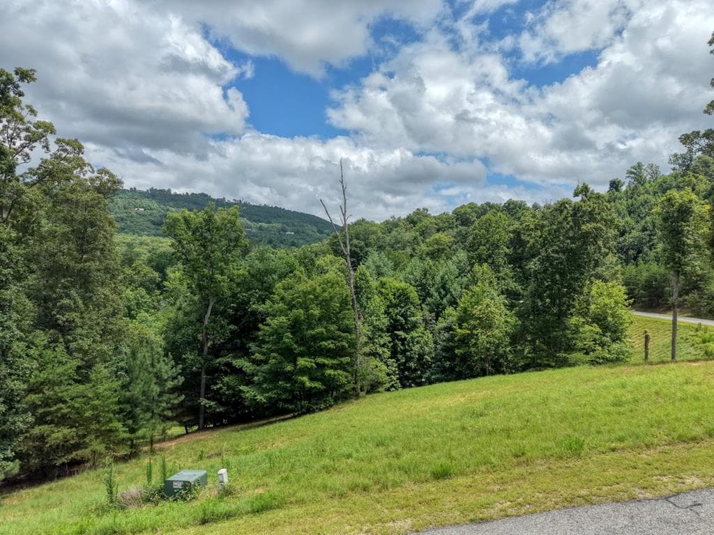 Lot 118 Riverside Lk Nottely, Blairsville GA 30512 - Primary photo