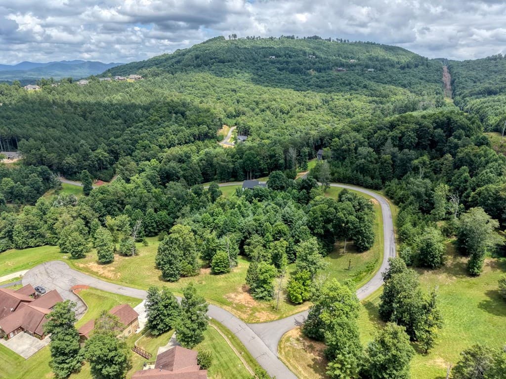 Lot 118 Riverside Lk Nottely, Blairsville GA 30512 - Photo