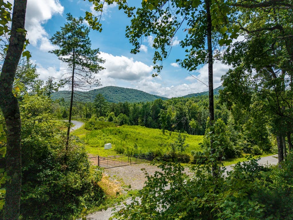 000 Higdon Creek Road, Blue Ridge GA 30513 - Photo
