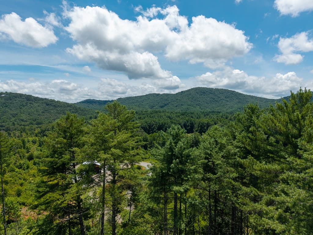 000 Higdon Creek Road, Blue Ridge GA 30513 - Photo