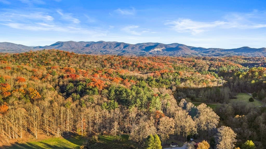 101 Harper Valley, Ellijay GA 30540 - Photo