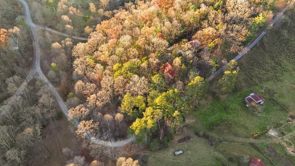 101 Harper Valley, Ellijay GA 30540 - Photo