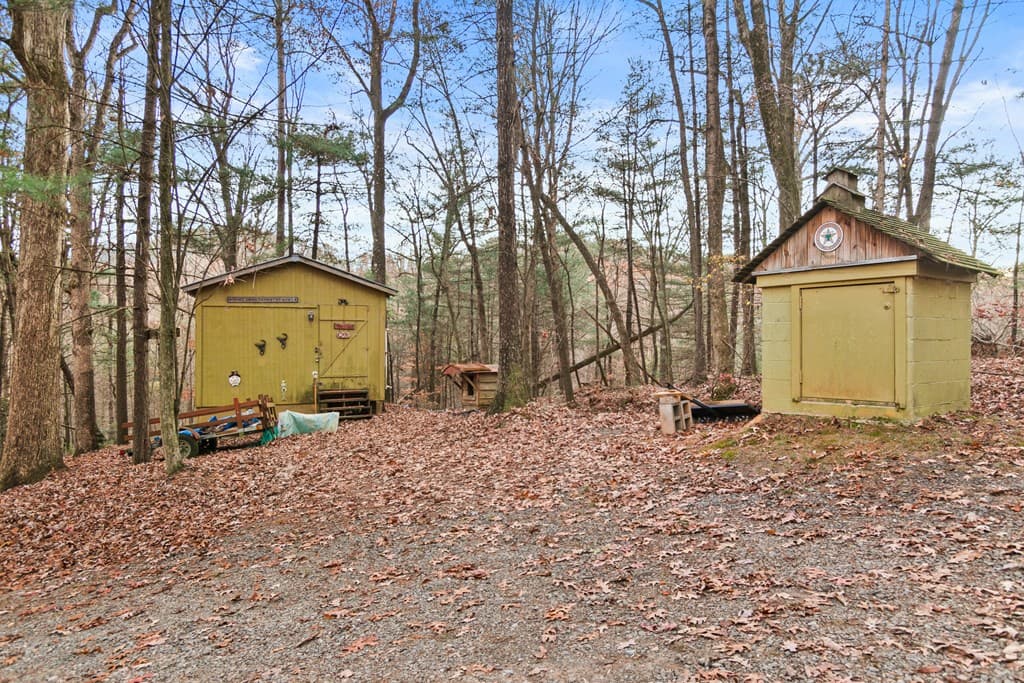 101 Harper Valley, Ellijay GA 30540 - Photo