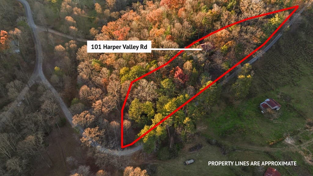 101 Harper Valley, Ellijay GA 30540 - Photo