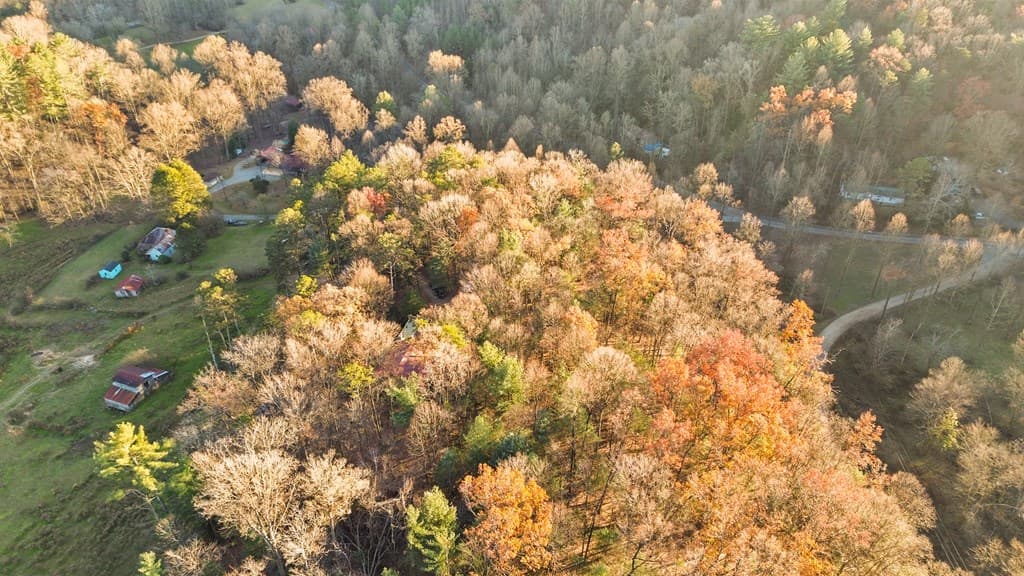 101 Harper Valley, Ellijay GA 30540 - Photo