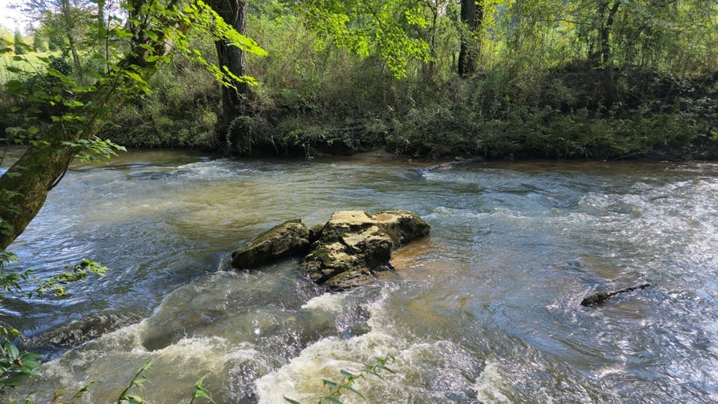 2575 Hwy 66, Young Harris GA 30582 - Photo