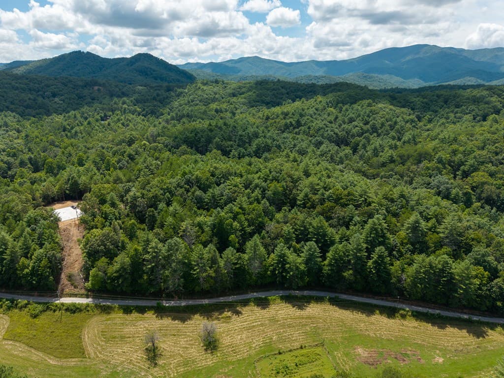 0 White Pine Road, Mccaysville GA 30555 - Photo